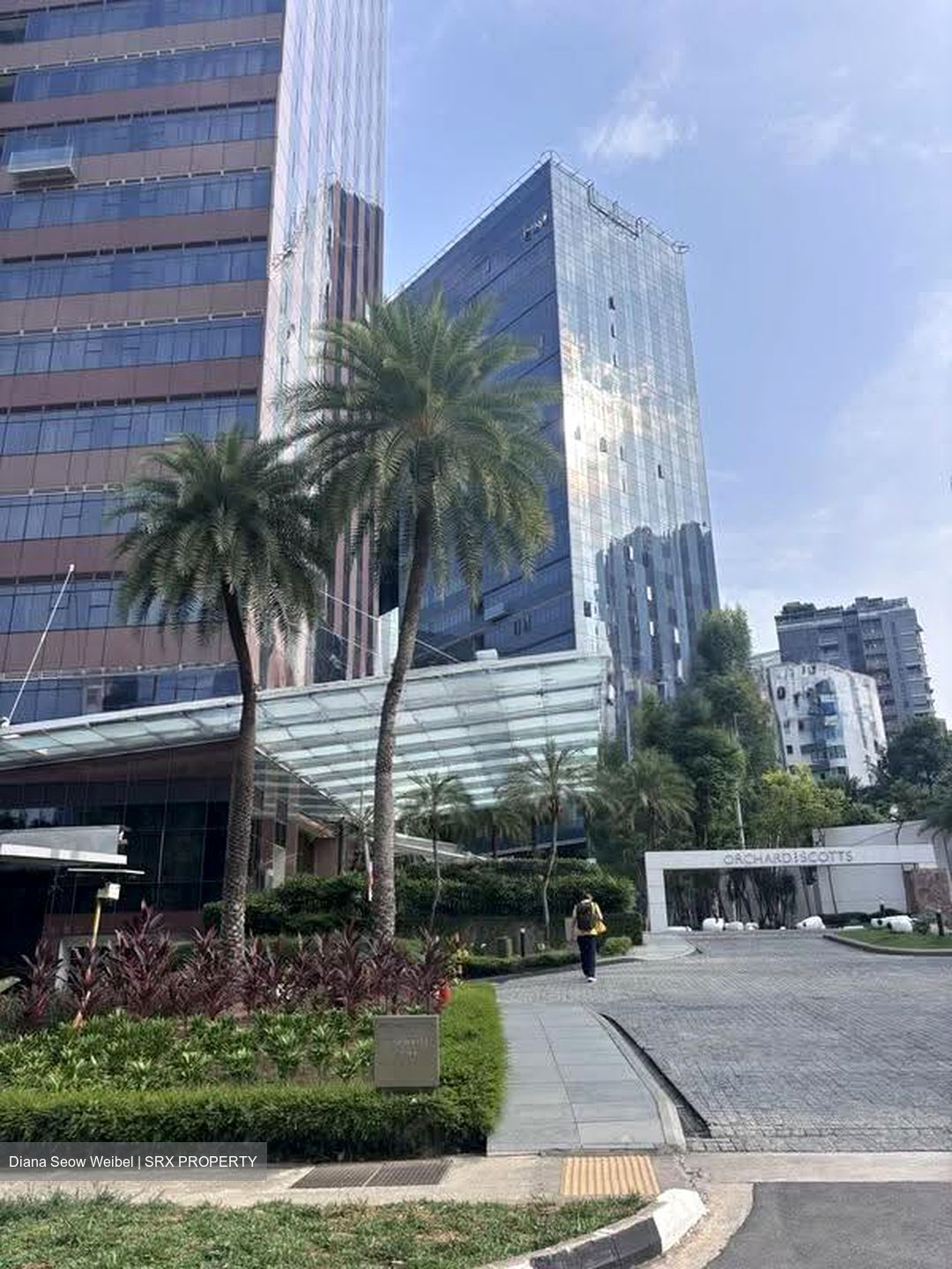 Orchard Scotts (D9), Condominium #639979001